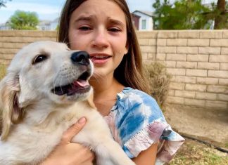 Amazing Present for Karolina Protsenko – She gets a puppy Amazing Present for Karolina Protsenko