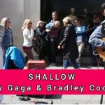 Shallow Cover with Jacob Koopman – Allie Sherlock Shallow Cover with Jacob Koopman