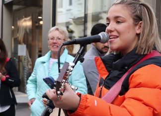 The Way I Loved You – Allie Sherlock Cover | Taylor Swift The Way I Loved You - Allie Sherlock Cover