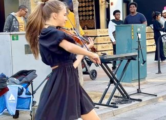 She is Incredible| Despacito by Karolina Protsenko – Violin Cover She is Incredible