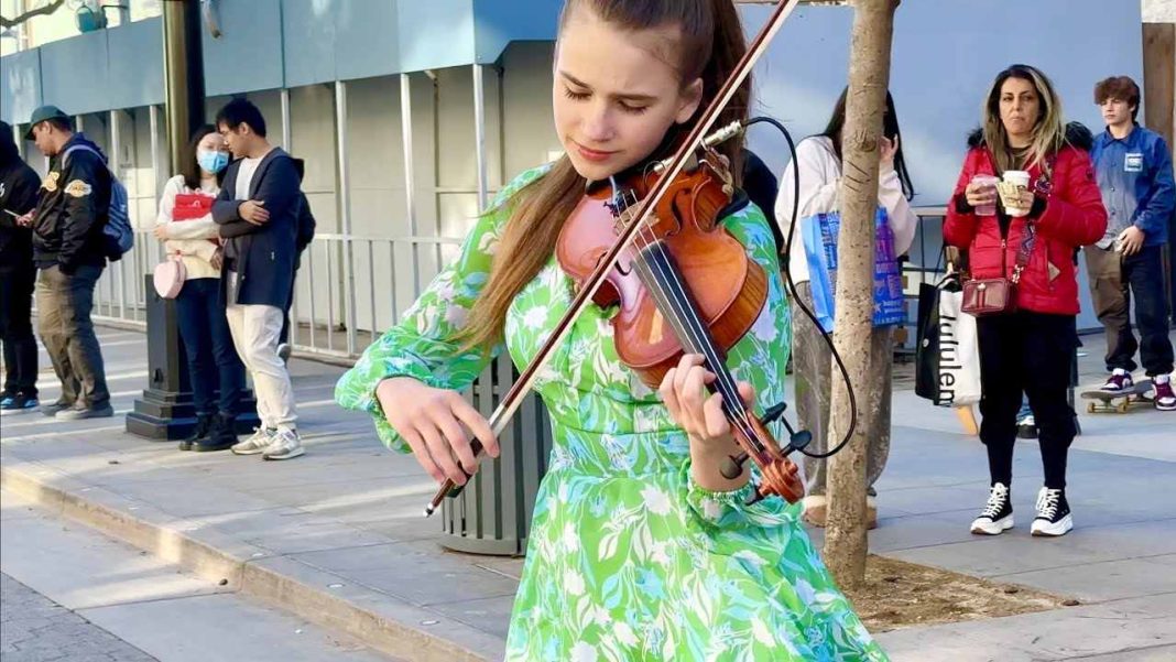 Flowers Violin Cover by Karolina Protsenko