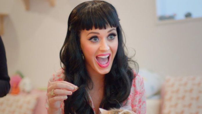 Katy Perry is Funny & Crazy