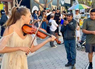 Sweet Home Alabama – Karolina Protsenko Violin Sweet Home Alabama - Karolina Protsenko Violin