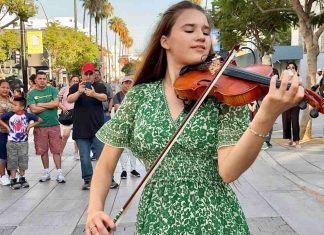 Dust In The Wind – Karolina Protsenko cover | Kansas Dust In The Wind - Karolina Protsenko cover | Kansas