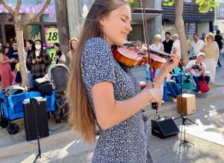 Sweet Home Alabama – Karolina Protsenko Violin Sweet Home Alabama - Karolina Protsenko Violin