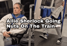 Going Nuts On The Train – Allie Sherlock went crazy on the Train Going Nuts On The Train - Allie Sherlock went crazy on the Train