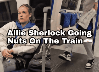 Going Nuts On The Train – Allie Sherlock went crazy on the Train Going Nuts On The Train - Allie Sherlock went crazy on the Train