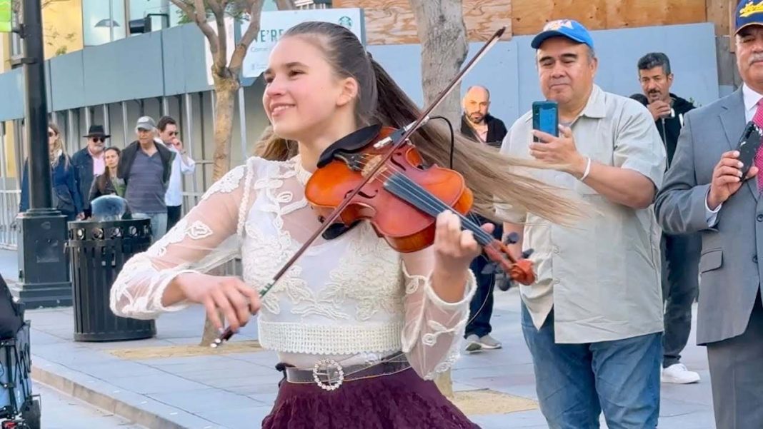 Waterloo - ABBA | Karolina Protsenko Violin