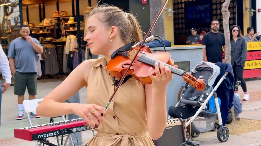 My Immortal Violin Cover - Karolina Protsenko Violin