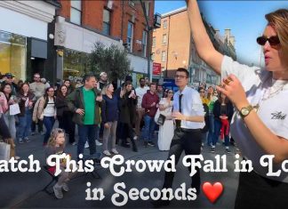The Crowd Went Wild – This Is The Life – Allie Sherlock Cover The Crowd Went Wild - This Is The Life - Allie Sherlock Cover