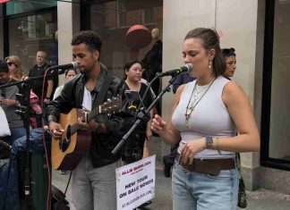 He Asked To Sing – Dreams – Allie Sherlock Cover He Asked To Sing - Dreams - Allie Sherlock Cover